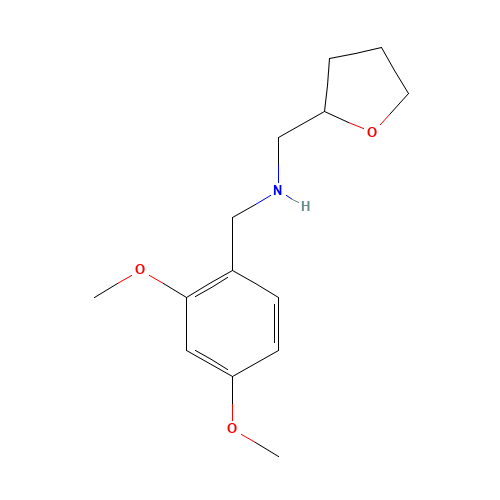 (2,4-Dimethoxy-benzyl)-(tetrahydro-furan-2-yl-methyl)-amine (CAS: 510723-75-8) - Related Chemical Product