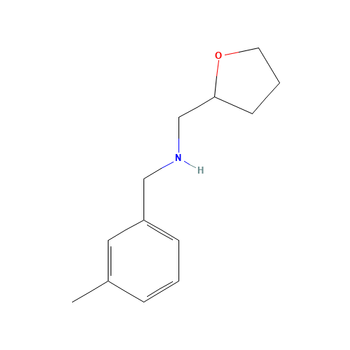 (3-Methyl-benzyl)-(tetrahydro-furan-2-ylmethyl)-amine (CAS: 356530-65-9) - Related Chemical Product