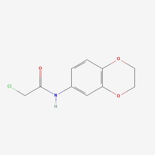 2-Chloro-N-(2,3-dihydro-1,4-benzodioxin-6-yl) acetamide (CAS: 42477-07-6) - Related Chemical Product