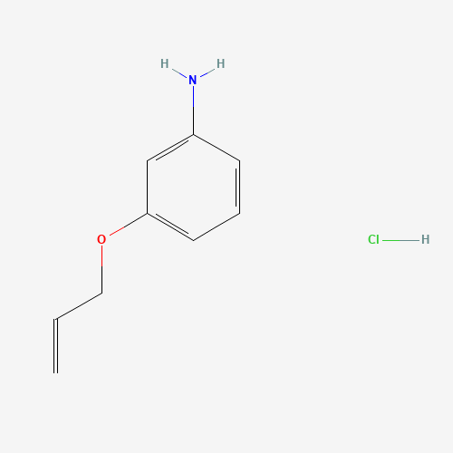 3-(Allyloxy)aniline hydrochloride (CAS: 102879-28-7) - Related Chemical Product