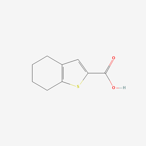 4,5,6,7-Tetrahydro-benzo[b]thiophene-2-carboxylic acid (CAS: 40133-07-1) - Related Chemical Product
