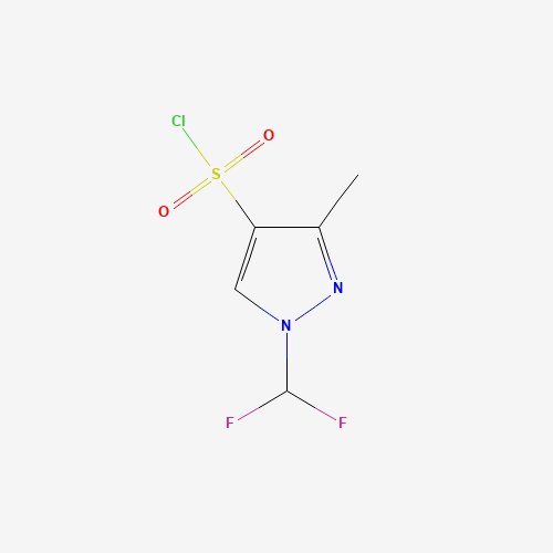 1-Difluoromethyl-3-methyl-1H-pyrazole-4-sulfonyl chloride (CAS: 957490-44-7) - Related Chemical Product