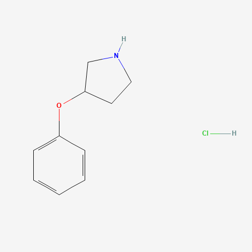3-Phenoxypyrrolidine hydrochloride (CAS: 21767-15-7) - Related Chemical Product