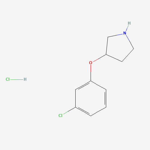 3-(3-Chlorophenoxy)pyrrolidine hydrochloride (CAS: 28491-00-1) - Related Chemical Product