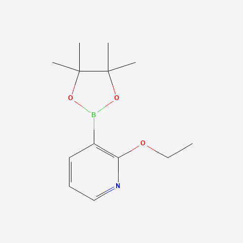 2-Ethoxy-3-(4,4,5,5-tetramethyl-[1,3,2]dioxaborolan-2-yl)-pyridine (CAS: 848243-23-2) - Related Chemical Product