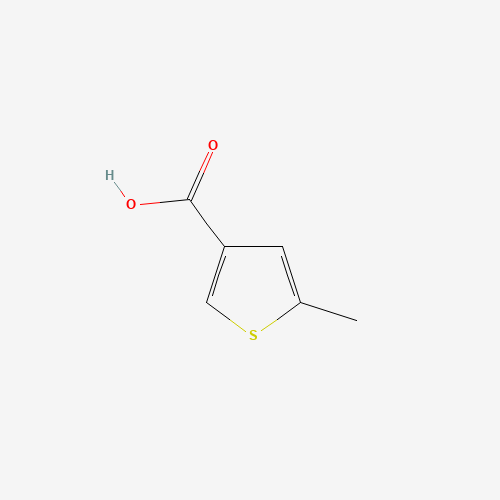 5-Methyl-thiophene-3-carboxylic acid (CAS: 19156-50-4) - Related Chemical Product