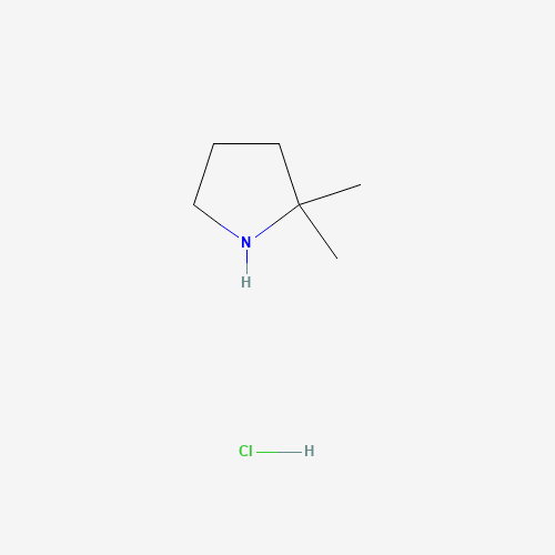 2,2-Dimethylpyrrolidine hydrochloride (CAS: 623580-01-8) - Related Chemical Product