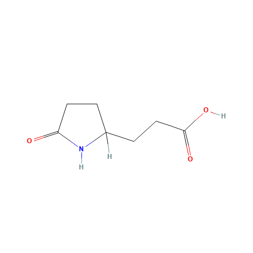 3-(5-Oxo-pyrrolidin-2-yl)-propionic acid (CAS: 7766-86-1) - Related Chemical Product