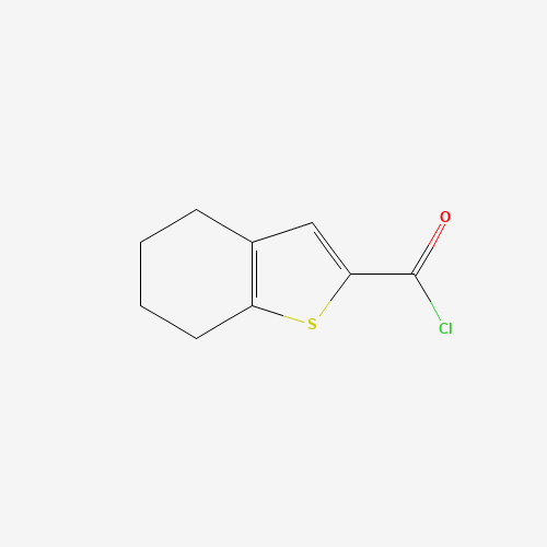 4,5,6,7-Tetrahydro-benzo[b]thiophene-2-carbonyl chloride (CAS: 65361-26-4) - Related Chemical Product