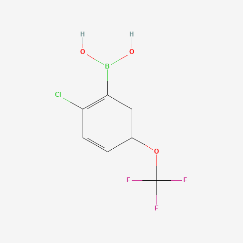 2-Chloro-5-(trifluoromethoxy)phenylboronic acid (CAS: 1022922-16-2) - Chemical Structure and Molecular Formula 