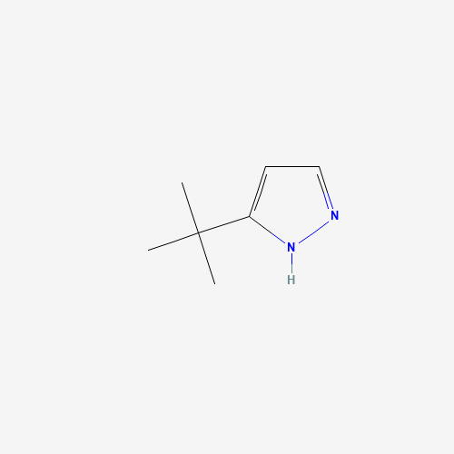 3-tert-Butyl-1H-pyrazole (CAS: 15802-80-9) - Related Chemical Product
