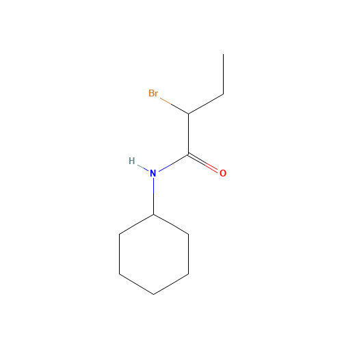 2-Bromo-N-cyclohexylbutanamide (CAS: 905810-22-2) - Chemical Structure and Molecular Formula 