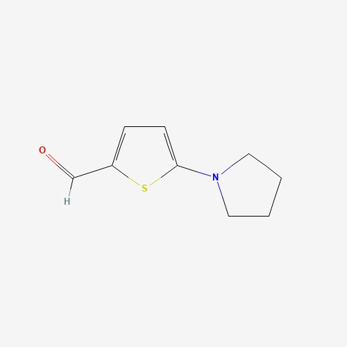 5-(1-Pyrrolidinyl)-2-thiophenecarbaldehyde (CAS: 24372-47-2) - Related Chemical Product