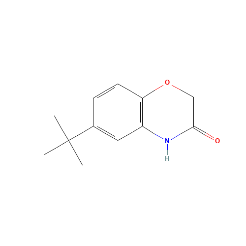 6-(tert-Butyl)-2H-1,4-benzoxazin-3(4H)-one (CAS: 6238-96-6) - Related Chemical Product