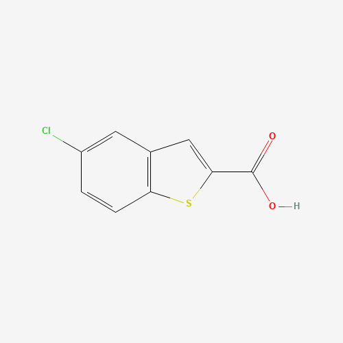 5-Chloro-1-benzothiophene-2-carboxylic acid (CAS: 13771-75-0) - Related Chemical Product