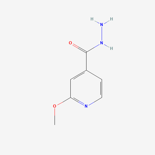 2-Methoxyisonicotinohydrazide (CAS: 19353-97-0) - Related Chemical Product