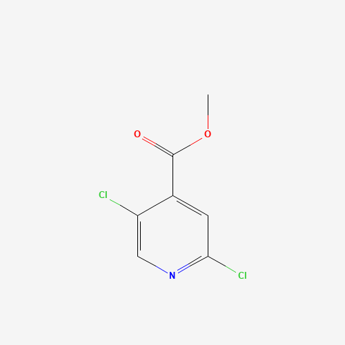 Methyl 2,5-dichloroisonicotinate (CAS: 623585-74-0) - Related Chemical Product