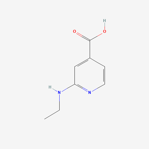 2-(Ethylamino)isonicotinic acid (CAS: 86649-58-3) - Related Chemical Product