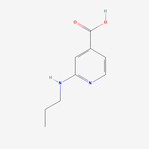 2-(Propylamino)isonicotinic acid (CAS: 1019127-04-8) - Related Chemical Product