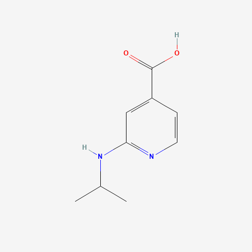 2-(Isopropylamino)isonicotinic acid (CAS: 77314-51-3) - Related Chemical Product