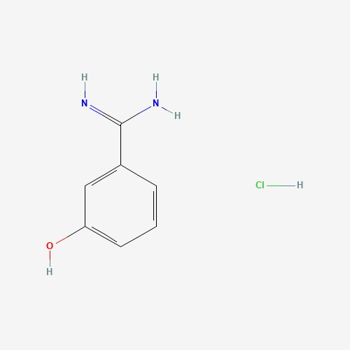 3-Hydroxybenzamidine hydrochloride (CAS: 63502-89-6) - Related Chemical Product