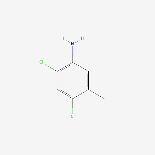 2,4-Dichloro-5-methylaniline (CAS: 17601-75-1) - Related Chemical Product