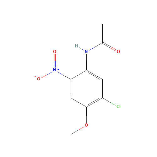 N-(5-Chloro-4-methoxy-2-nitrophenyl)acetamide (CAS: 160088-53-9) - Related Chemical Product