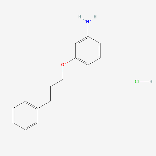 [3-(3-Phenylpropoxy)phenyl]amine hydrochloride (CAS: 17399-25-6) - Related Chemical Product