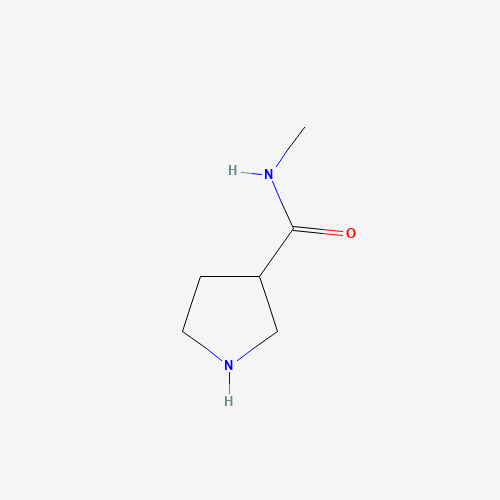 N-Methylpyrrolidine-3-carboxamide (CAS: 1007870-02-1) - Related Chemical Product