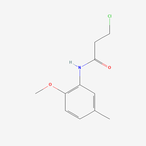 3-Chloro-N-(2-methoxy-5-methylphenyl)propanamide (CAS: 349122-20-9) - Related Chemical Product
