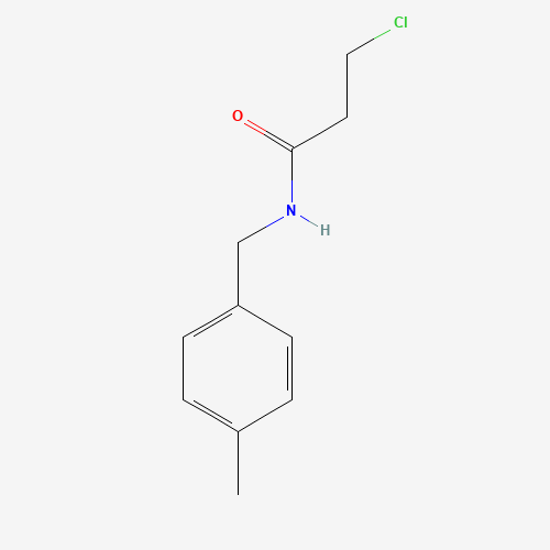 3-Chloro-N-(4-methylbenzyl)propanamide (CAS: 105907-34-4) - Related Chemical Product
