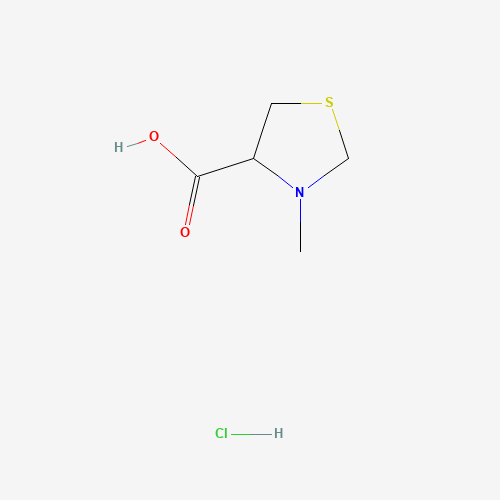 3-Methyl-1,3-thiazolidine-4-carboxylic acid hydrochloride (CAS: 60129-40-0) - Related Chemical Product