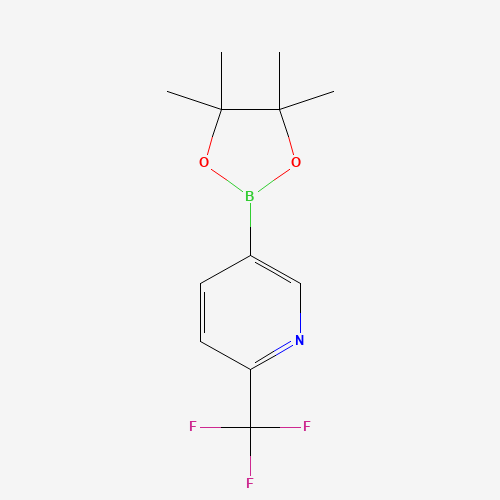 5-(4,4,5,5-Tetramethyl-1,3,2-dioxaborolan-2-yl)-2-(trifluoromethyl)pyridine (CAS: 1218790-39-6) - Related Chemical Product