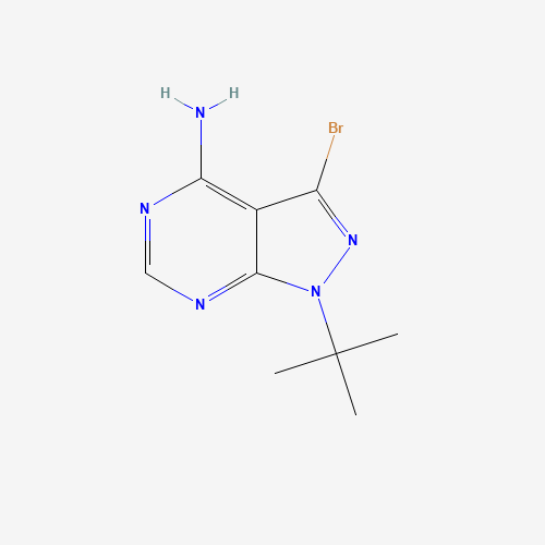 3-Bromo-1-tert-butyl-1H-pyrazolo-[3,4-d]pyrimidin-4-amine (CAS: 862728-61-8) - Related Chemical Product