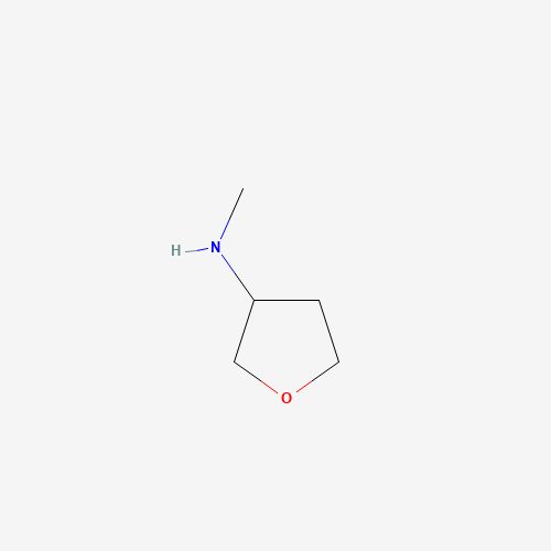 N-Methyl-tetrahydrofuran-3-amine (CAS: 89487-67-2) - Related Chemical Product