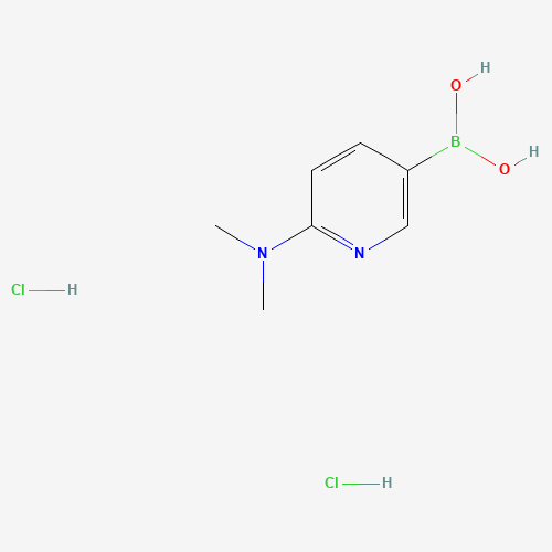 2-(N,N-Dimethylamino)pyridine-5-boronic acid dihydrochloride (CAS: 265664-54-8) - Related Chemical Product