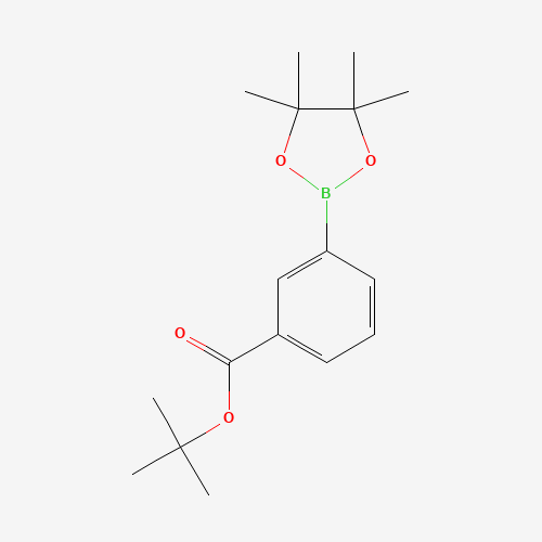 3-(t-Butoxycarbonyl)phenylboronic acid pinacol ester (CAS: 903895-48-7) - Related Chemical Product
