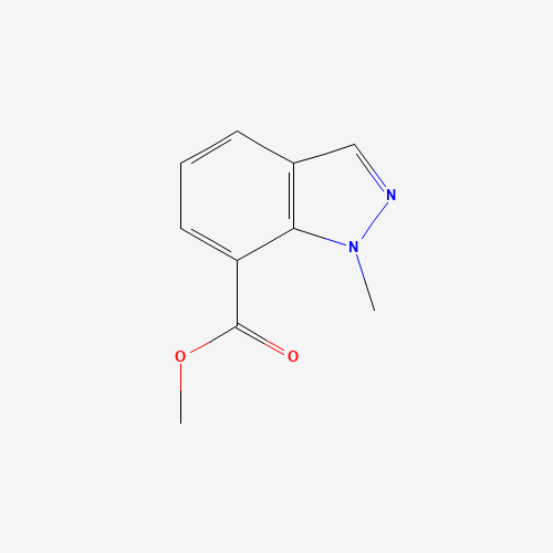 1-Methyl-1H-indazole-7-carboxylic acid methyl ester (CAS: 1092351-84-2) - Related Chemical Product