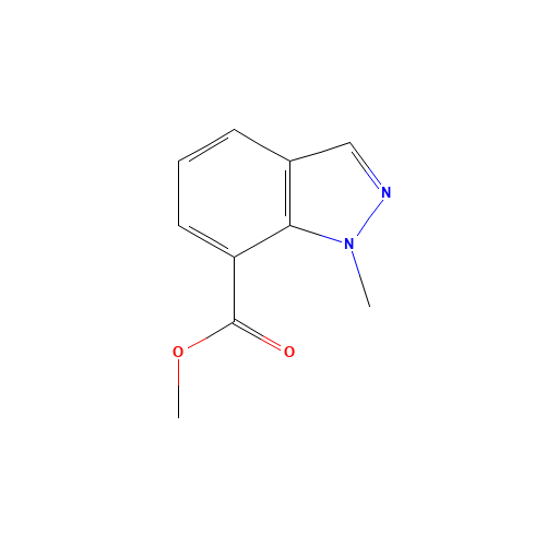 1-Methyl-1H-indazole-7-carboxylic acid methyl ester (CAS: 1092351-84-2) - Related Chemical Product