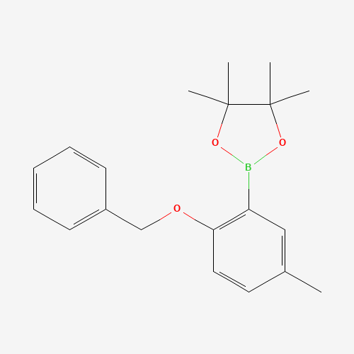2-Benzyloxy-5-methylphenylboronic acid pinacol ester (CAS: 1204580-85-7) - Related Chemical Product