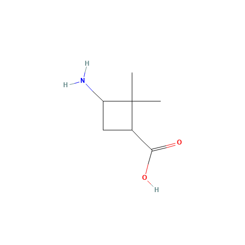 3-Amino-2,2-dimethylcyclobutanecarboxylic acid (CAS: 783260-98-0) - Related Chemical Product