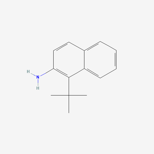 1-tert-Butylnaphthalen-2-amine (CAS: 389104-55-6) - Related Chemical Product