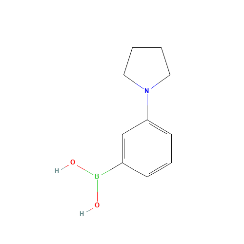 [3-(1-Pyrrolidinyl)phenyl]boronic acid (CAS: 659731-18-7) - Related Chemical Product