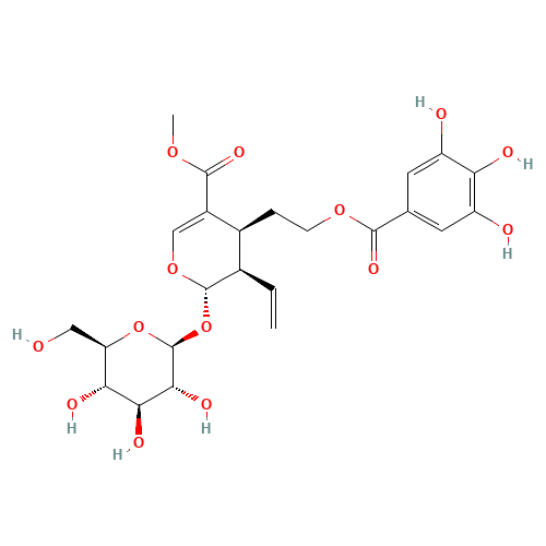 Methyl (2R,3S,4R)-2-(b-D-glucopyranosyloxy)-4-{2-[(3,4,5-trihydroxybenzoyl)oxy]ethyl}-3-vinyl-3,4-dihydro-2H-pyran-5-carboxylate (CAS: 131189-57-6) - Related Chemical Product