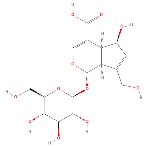 Desacetyl asperulosidic acid (CAS: 14259-55-3) - Related Chemical Product