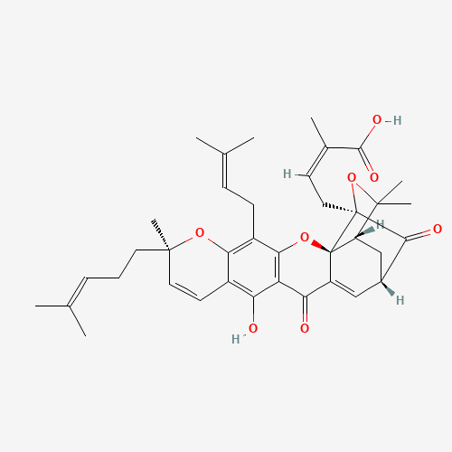 (2E)-4-[(2S,17S)-12-Hydroxy-8,21,21-trimethyl-5-(3-methyl-2-buten-1-yl)-8-(4-methyl-3-penten-1-yl)-14,18-dioxo-3,7,20-trioxahexacyclo[15.4.1.02,15.02,19.04,13.06,11]docosa-4(13),5,9,11,15-pent aen-19-yl]-2-methyl-2-butenoic acid (CAS: 2752-65-0) - Related Chemical Product