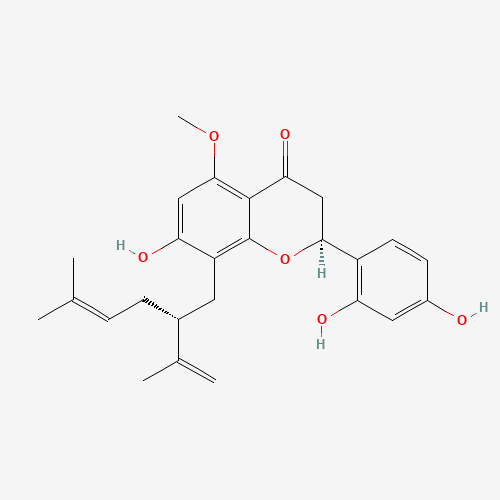 2-(2,4-Dihydroxyphenyl)-5,7-dihydroxy-8-(2-isopropenyl-5-methyl-4-hexen-1-yl)-2,3-dihydro-4H-chromen-4-one (CAS: 34981-26-5) - Related Chemical Product