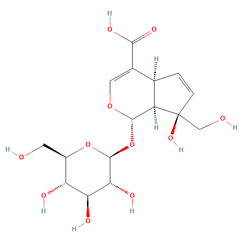 (1S,4aS,7R,7aS)-1-(b-D-Glucopyranosyloxy)-7-hydroxy-7-(hydroxymethyl)-1,4a,7,7a-tetrahydrocyclopenta[c]pyran-4-carboxylic acid (CAS: 5945-50-6) - Related Chemical Product