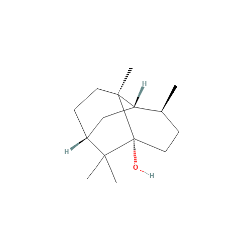 Patchouli Camphor (CAS: 5986-55-0) - Related Chemical Product