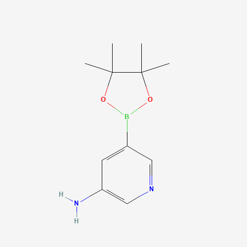 5-(4,4,5,5-Tetramethyl-1,3,2-dioxaborolan-2-yl)-3-pyridinamine (CAS: 1073354-99-0) - Related Chemical Product